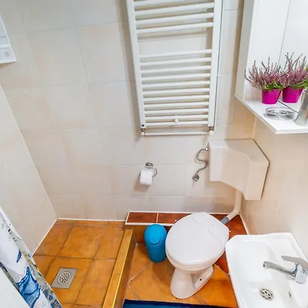 Apartment Lamp House Brasov